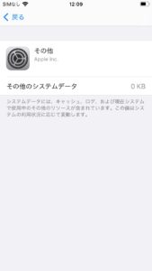 iPhoneのシステムデータについて